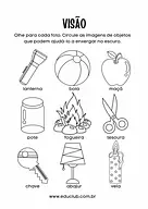 Atividade sobre a visão