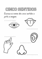 Nomes dos cinco sentidos