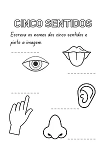 Nomes dos cinco sentidos