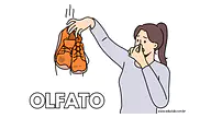 Cartaz do sentido do olfato para 5º Ano, 4º Ano, 3º Ano, 2º Ano, 1º Ano de Recursos Educativos, Ciências, Cinco sentidos -...