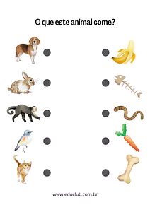 O que os animais comem?