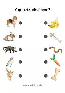 O que os animais comem?