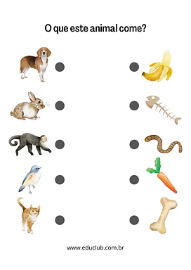 O que os animais comem? para 1º Ano, Pré-Escola de Ciências, Seres Vivos - Material educacional