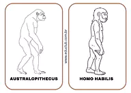 Atividade evolução humana - Pré-história Atividade evolução humana - Pré-história para 4º Ano, 3º Ano, 2º Ano de História, Recursos Educativos, Vocabulário, Pré-Hi...