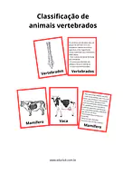 Atividade sobre animais vertebrados para 2º Ano, 1º Ano de Ciências, Seres Vivos, Material Montessori - Material educacional