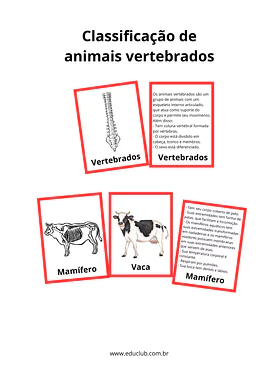 Atividade sobre animais vertebrados para 2º Ano, 1º Ano de Ciências, Seres Vivos, Material Montessori - Material educacional