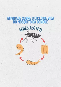 Atividade sobre o ciclo de vida do mosquito da dengue, o Aedes Aegypti