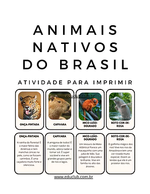 Atividade sobre animais nativos do Brasil para 3º Ano, 2º Ano, 1º Ano, Pré-Escola de Ciências, Seres Vivos - Material educ...