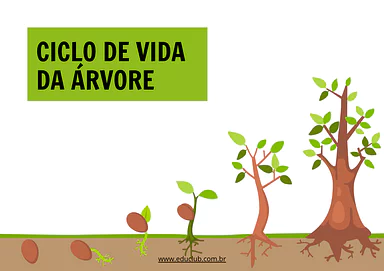 Atividade sobre ciclo de vida da árvore para 5º Ano, 4º Ano, 3º Ano, 2º Ano, 1º Ano de Datas Comemorativas, Ciências, Plan...