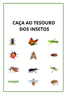 Caça ao tesouro dos insetos para imprimir para 5º Ano, 4º Ano, 3º Ano, 2º Ano, 1º Ano de Recursos Educativos, Ciências, Se...