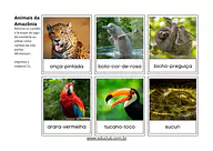 Animais da Amazônia para imprimir para 5º Ano, 4º Ano, 3º Ano, 2º Ano, 1º Ano de Geografia, Brasil - Material educacional