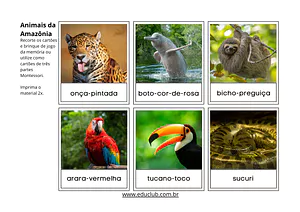 Animais da Amazônia para imprimir