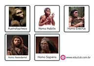 Evolução humana na pré-história