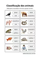 Atividade de classificação dos animais 2 ano