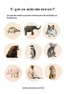 Herbívoro ou carnívoro?