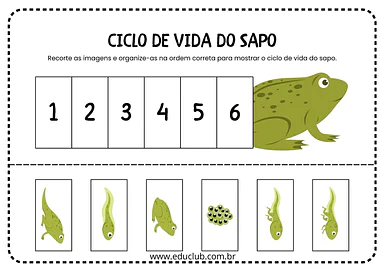 Ciclo de vida do sapo para Educação Infantil Ciclo de vida do sapo para Educação Infantil para Pré-Escola de Ciências, Ciclos de vida - Material educacional