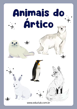 Animais do Ártico para colorir para Creche, Pré-Escola de Geografia, Desenhos, Artes, Ártico - Material educacional