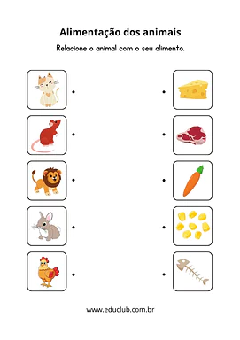 Atividade sobre alimentação dos animais para 4º Ano, 3º Ano de Ciências, Alimentos - Material educacional