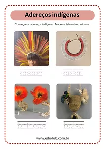Adereços indígenas