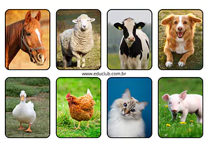 Animais domésticos para Educação Infantil
