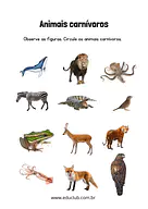Atividade sobre animais carnívoros para 2º Ano, 1º Ano de Ciências, Seres Vivos - Material educacional