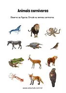 Atividade sobre animais carnívoros