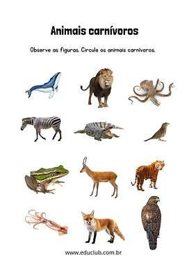 Atividade sobre animais carnívoros para 2º Ano, 1º Ano de Ciências, Seres Vivos - Material educacional